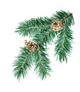 Christmas tree of coniferous branches and cones. Royalty Free Stock Photo