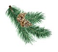 Christmas tree of coniferous branches and cones. Royalty Free Stock Photo