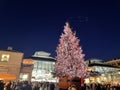 The Christmas tree in Covent Garden, London, England Royalty Free Stock Photo