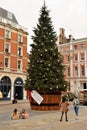 Christmas tree in Covent Garden, London Royalty Free Stock Photo