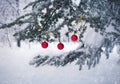 Christmas tree covered by snow with red ball ornament Royalty Free Stock Photo
