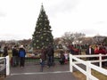 Christmas Tree and Crowd at the Ellipse