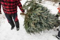 Christmas tree cutting Royalty Free Stock Photo