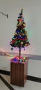 Christmas tree decoraded with lights Royalty Free Stock Photo