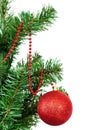 Christmas tree decorated colored balls. Royalty Free Stock Photo