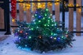 Christmas tree decorated with a garland of luminous lamps Royalty Free Stock Photo