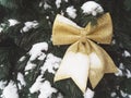 Christmas tree, decorated with a golden bow, on green branches with snow. Festive Christmas background. Close-up Royalty Free Stock Photo