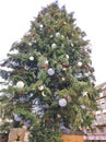 Christmas tree decorated on the Place Kleber in old town of Strasbourg at day, France Royalty Free Stock Photo