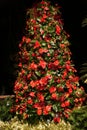 A unique Christmas tree decorated with red ornaments and anthurium flowers