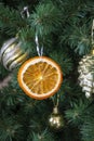 The Christmas tree is decorated with toys. Orange slices hang on a branch of a Christmas tree on Christmas Eve Royalty Free Stock Photo