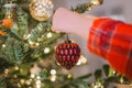 Christmas tree Decorating. decorate the Christmas tree with red shiny balls.hands put red balls on the branches Royalty Free Stock Photo