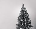 Christmas tree with decoration, black and white Royalty Free Stock Photo