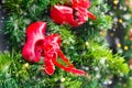 Christmas-tree decoration in the form of an traditional dutch wooden shoes - klompen clogs Royalty Free Stock Photo