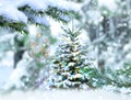 Winter wonderland  forest Christmas tree decoration  pine covered by snow and  illumnated Royalty Free Stock Photo