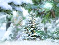 Winter wonderland  forest Christmas tree decoration  pine covered by snow Winter wonderland  forest Royalty Free Stock Photo