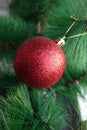 Christmas tree decoration