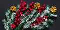 Christmas tree decorations on a dark background. Green fir branches with snow, golden pine cones and red holly berries. New Year` Royalty Free Stock Photo