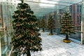 Christmas Tree Decorations in Glass Enclosed Walkway