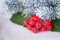 Christmas Tree and Decorations over Snow background