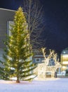 Christmas Tree and Christmas Deer Decorations in Tromso, Norway Royalty Free Stock Photo