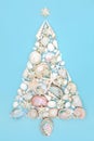 Christmas Tree Design with Seashells and Stars Royalty Free Stock Photo