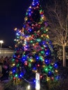 Christmas tree at Disney Springs in Orlando, Florida Royalty Free Stock Photo