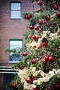 Christmas tree in Distillery Historic District, Toronto, Canada Royalty Free Stock Photo