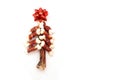 Christmas tree from dog treats food with red ribbon star on white background with copy space