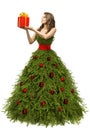 Christmas Tree Dress, Woman and Present Gift, New Year Fashion Royalty Free Stock Photo