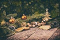Christmas Tree, Dried Oranges, Cookies, Walnuts, Hazelnut, Cones, Baubles, Cinnamon. Royalty Free Stock Photo