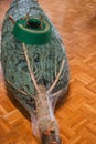 Christmas tree fastener.Floor holder for tree near a packaged Christmas tree on the parquet floor. Royalty Free Stock Photo