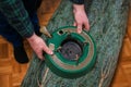 Christmas tree fastener. hands place a tree holder near a packaged Christmas tree on the floor. View from above. Royalty Free Stock Photo