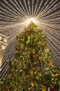 Christmas tree in festive elution Royalty Free Stock Photo