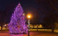 Christmas tree and festive light pole at night time Royalty Free Stock Photo