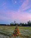 Christmas Tree In Field Royalty Free Stock Photo