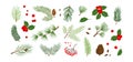 Christmas tree, fir, pine cone, holly berry, leaf branch, mistletoe, winter vector icon, xmas set. Holiday nature illustration Royalty Free Stock Photo