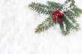 Christmas Tree Fir Twig with Holly Berries on Snow Royalty Free Stock Photo