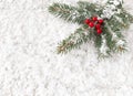 Christmas Tree Fir Twig with Red Holly Berries on Snow Royalty Free Stock Photo