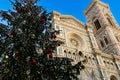 Christmas tree in Florence. Santa Maria del Fiore. Florence, Italy