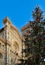 Christmas tree in Florence. Santa Maria del Fiore. Florence, Italy