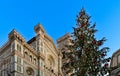 Christmas tree in Florence. Santa Maria del Fiore. Florence, Italy