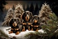 christmas tree forest with puppies dachshund dog