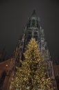 Christmas Tree in front of Ulmer Muenster Royalty Free Stock Photo