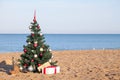 Christmas tree with the gift of tropical resort on the beach