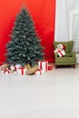 Christmas tree blue pine with gifts interior decor red background New Year winter holiday Royalty Free Stock Photo