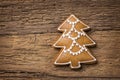 Christmas tree gingerbread cookie Royalty Free Stock Photo