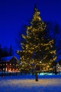 A Christmas tree glows on the town green