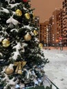 Christmas tree with gold balls in winter town