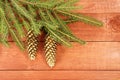Christmas tree Royalty Free Stock Photo
