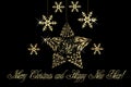 Christmas tree gold snowflake ornament Royalty Free Stock Photo